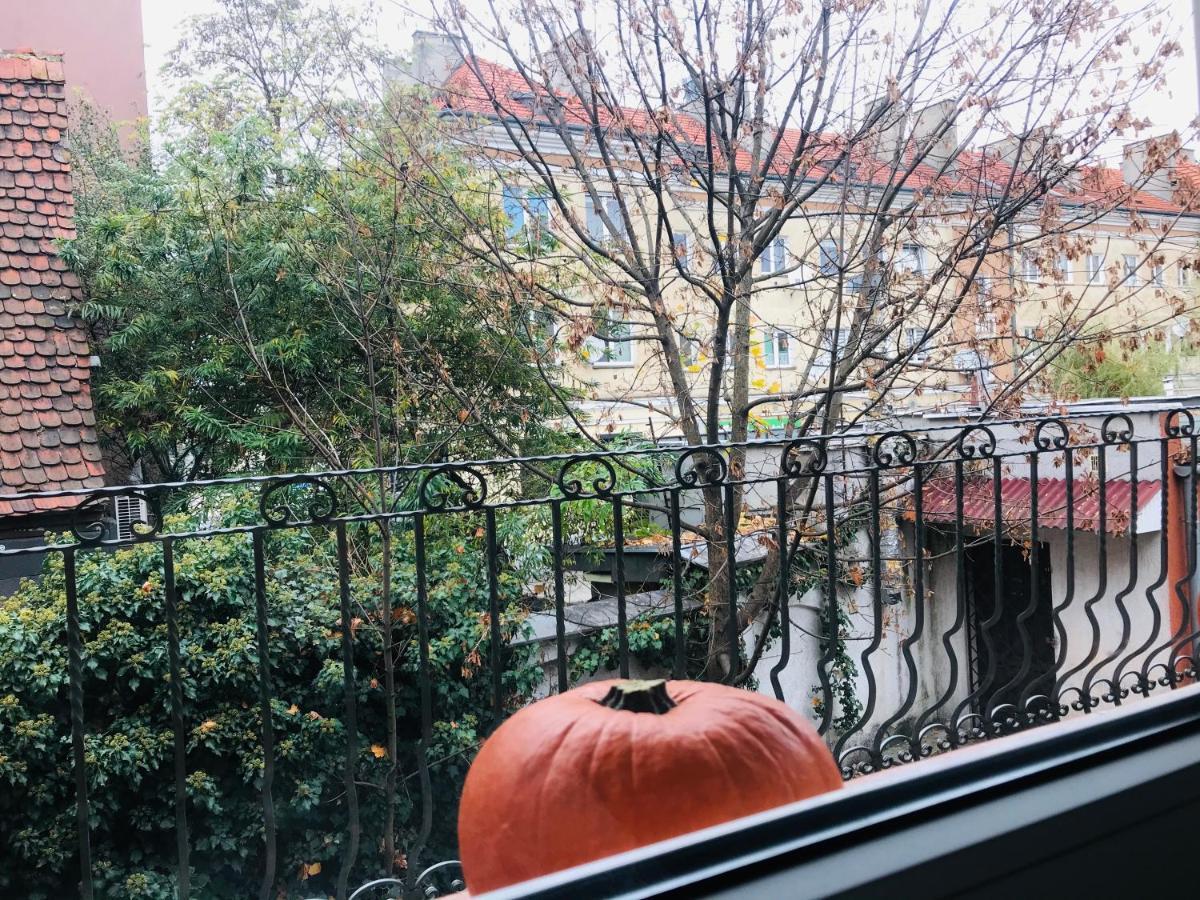 Apartament Starowka Zelená Hora Exteriér fotografie